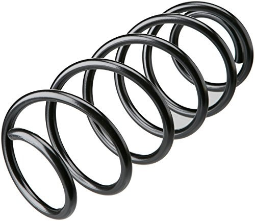 Triscan 875028104 Fahrwerksfeder