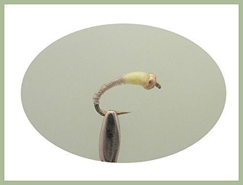 Juego de 6 moscas de oro con cabeza de Okey, color blanco y lima mezcladas 10/12