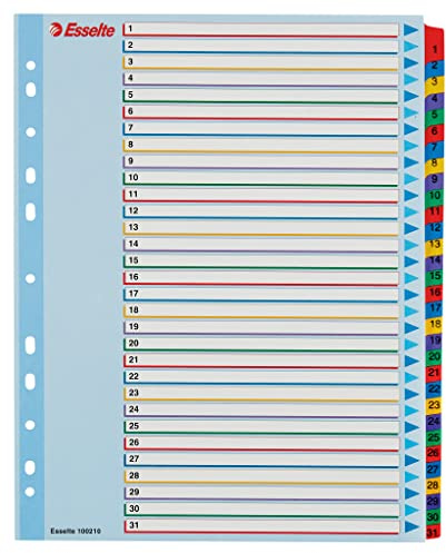 ESSELTE Rubrica MYLAR numerica 1-31 con indice riscrivibile - f.to A4 MAXI - 100210