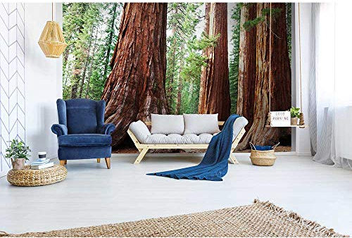 Vlies Fototapete MAMMUTBAUM 375 x 250 cm | Vliestapete - Wandtapete inklusive Kleister | PREMIUM VLIES QUALITÄT