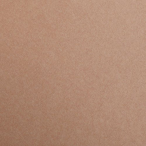 Clairefontaine 97174C Tonzeichenpapier Pack, 25 Bögen Premium, 50 x 70 cm, 120 g, braun