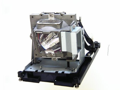 Benq 5J.J0W05.001 Lampada per Proiettore [Vecchio Modello]