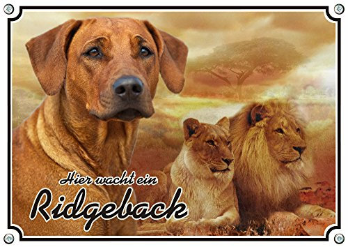 Petsigns Hundeschild - Rhodesian Ridgeback - 1A Metallschild - bis DIN A3, DIN A4