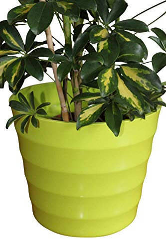 Olive Grove Cache-Pot de qualité en Plastique Rigide Vert Citron - Design strié Moderne - Idéal pour Les Plantes d'intérieur - 28 cm de diamètre