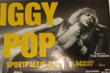 Pop Iggy – B – 1999 – 60 x 90 cm zeigt/Poster