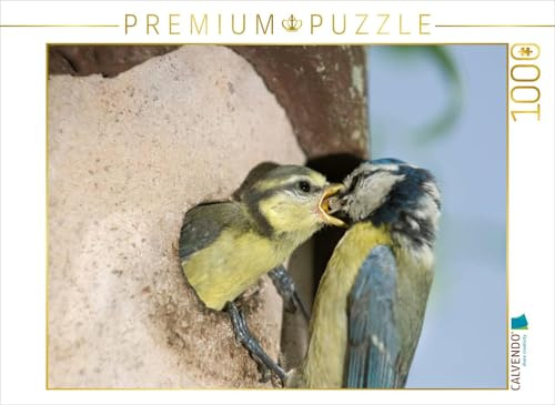 CALVENDO Puzzle EIN Motiv aus dem Kalender Elternzeit - das Familienleben der Blaumeisen | 1000 Teile Lege-Größe 64 x 48 cm Foto-Puzzle für glückliche Stunden