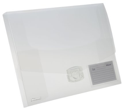 Rexel 2102027 Dokumentenbox ICE, PP, A4, 25 mm, 1 Stück, klar