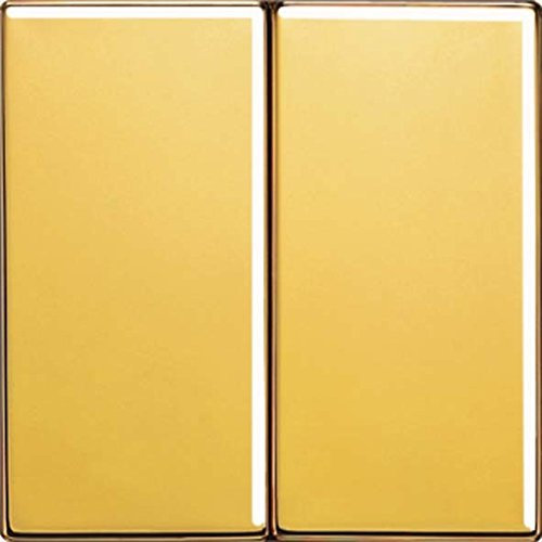 Jung LS995GGO Wippe für Serienschalter