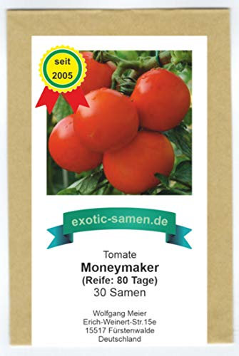 Moneymaker - rote Fleisch-Tomate aus England - 30 Samen