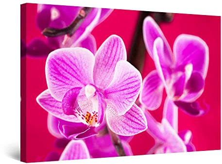 Startonight Bilder Orchideen Violett, Leinwandbilder Moderne Kunst, Blume Wanddeko Kunstdrucke, Wandbilder XXL Wohnzimmer Groß Wand Bild 80 x 120 cm, Tag Nacht Effekt, Elegante Geschenkidee Deko