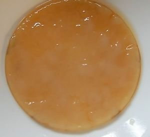 Bio-Kombucha Scoby, verschiedene Größen