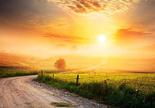 wandmotiv24 Fototapete Weg im Morgendunst, XL 350 x 245 cm - 7 Teile, Wanddeko, Wandbild, Wandtapete, Landschaft M0384