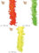 FASCHING 36215 Federboa neon orange Boa 1.8 m (Truthahn) NEU/OVP
