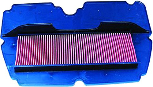 HifloFiltro HFA1901