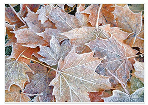 Artipics Tischsets Frostblätter Herbst Platzsets Abwaschbar Kunststoff 4 STK.