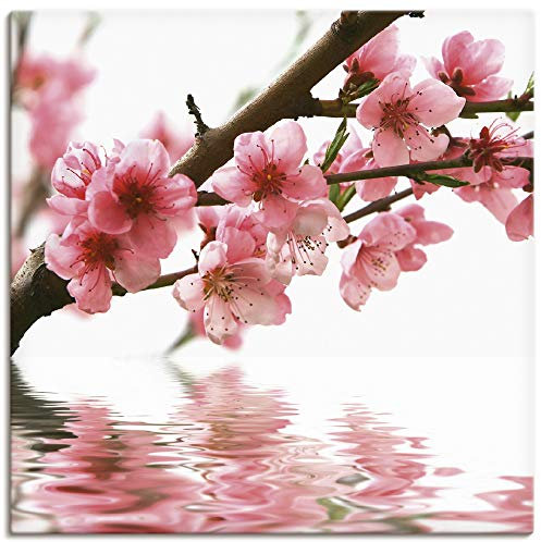 ARTLAND Wanddeko Leinwand Bilder Wandbild 40x40 cm Kirschblüten Botanik Blumen Blüten Natur T5PL