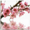 ARTLAND Wanddeko Leinwand Bilder Wandbild 40x40 cm Kirschblüten Botanik Blumen Blüten Natur T5PL