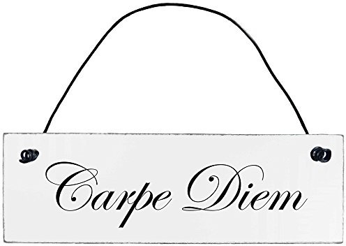 Anika Shabby Chic Vintage Dekoschild Carpe Diem Dekoschild Türschild, Dekoratives Zeichen, Weiß, Kunststoff, Klein