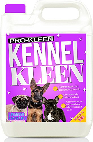 Pro-Kleen Kennel Disinfectant, Cleaner & Deodoriser (Lavender Fragrance) - 5L Pack - Tested according to DVG (German Veterinary Medical Society)