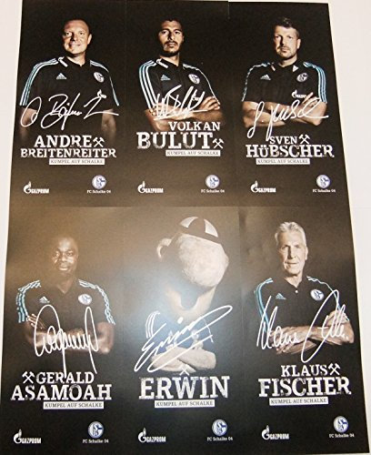 FC Schalke 04 Autogrammkarten - 30 Stück - Wandmontage - Querformat - Heimbüro