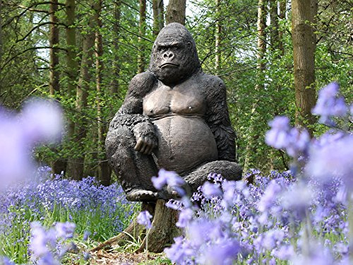 Gaz the Gorilla Garden Ornament Life Size 116cm Resin Gorilla Statue Large Outdoor Garden Sculpture Realistic Novelty Animal Garden Decor Patio Lawn Feature