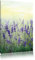 Pixxprint Schöner Lavendel im Regen, Größe: 60x40cm, Leinwandbild, fertig gespannt, Wandbild, Dekoration, Kunstdruck, kein Poster
