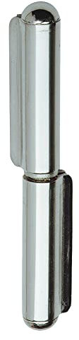 Charnière inox à souder 100 mm tige fixe