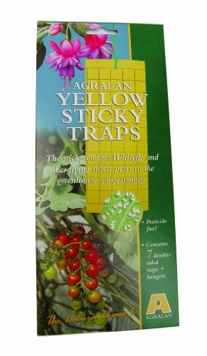 Agralan Yellow Sticky Fly Traps | Double Sided Sticky Fly Paper Catchers | Control of Fungus Gnats, Whiteflies, Aphids, Leafminers etc |