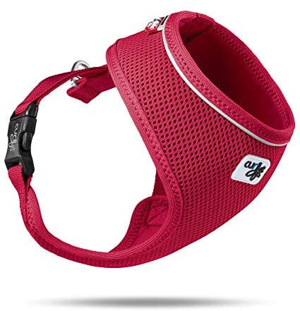 Basic Harness Air-Mesh Red L
