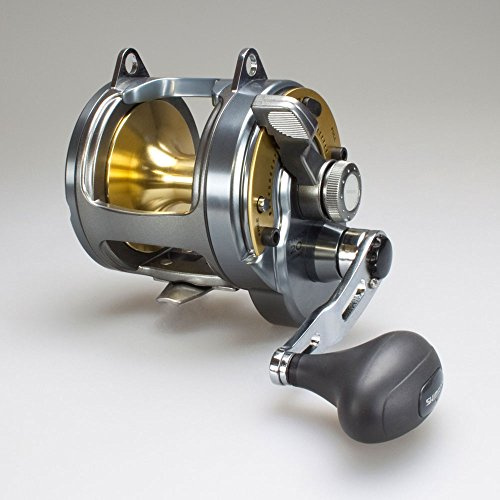 Shimano - Tyrnos – Multiplikatorrolle zum Hochseerangeln, Schwarz/Gold