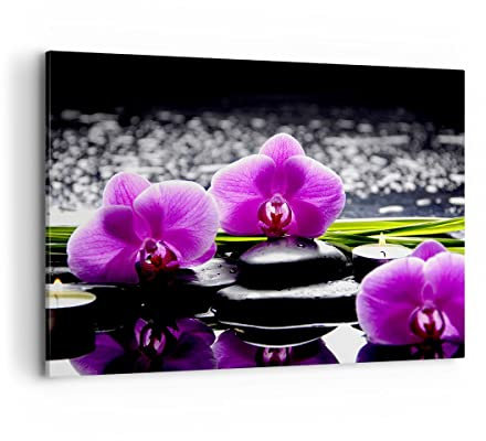 Bilder auf Leinwand 100x70cm Leinwandbild Orchidee Natur Wasser Blume Groß Wanddeko Bild Schlafzimmer Küche Deko Wandbilder Dekoration Wohnzimmer Wall Decor Canvas Wand Kunstdruck Art AA100x70-2658