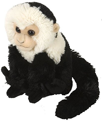Wild Republic 11576 Plüsch Kapuziner Affe Cuddlekins Kuscheltier, Plüschtier, 20cm