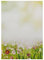 Briefpapier | Sommerwiese | 20 Blatt Blumen Motivpapier DIN A4