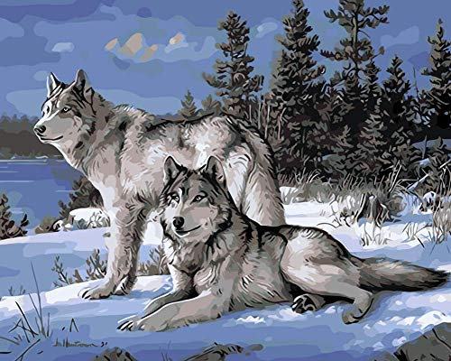 YEESAM ART DIY Ölgemälde Malen nach Zahlen Erwachsene Kinder, Schnee Wölfe im Wald Zahlenmalerei ab 5 Öl Wandkunst (Wolf, mit Rahmen)