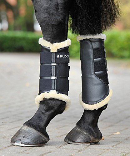 Busse Gamaschen ST. Georges schwarz Dressurgamasche mit Kunstfell gepolstert, 17_Groessen:L