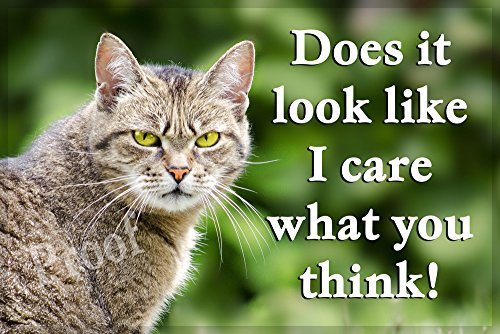 Funny Tabby Cat Fridge Magnet - Does it Look Like I Care What You Think!