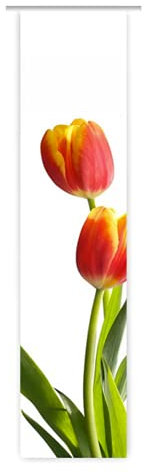 gardinen-for-life Schiebevorhang 300 cm Tulpe/Schiebegardine/Flächenvorhang Größe 60x300 cm mit Technik Paket