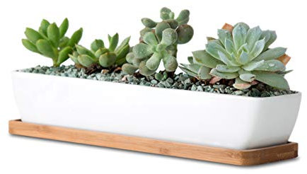 WISH HALLY WOOD Pots de Fleurs rectangulaires en céramique Blanche de 27,9 cm de Long avec soucoupes en Bambou Dimensions du Produit : 27,9 x 6 x 4,5 cm, Plante Non Incluse. (Long Rectangle)