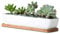 WISH HALLY WOOD Pots de Fleurs rectangulaires en céramique Blanche de 27,9 cm de Long avec soucoupes en Bambou Dimensions du Produit : 27,9 x 6 x 4,5 cm, Plante Non Incluse. (Long Rectangle)