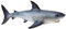 Bullyland 67410 - Spielfigur Weißer Hai, ca. 11,6 cm große Tierfigur, detailgetreu, PVC-frei, ideal als kleines Geschenk für Kinder ab 3 Jahren