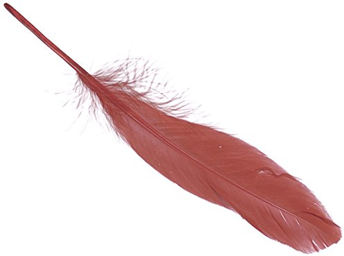 Knorr Prandell Gänsefedern 16-21cm rot 8er