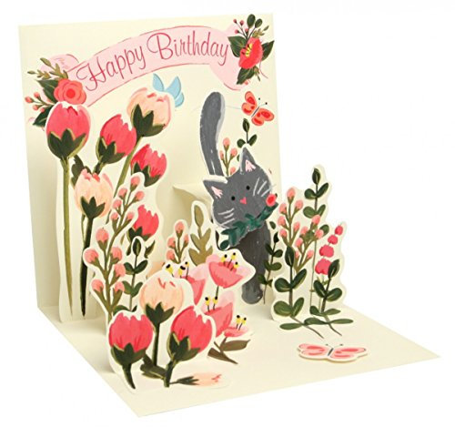 Pop Up 3D Geburtstag Grußkarte PopShot Blumenwiese Katze 13x13cm