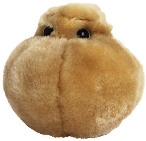 Peluche Microbe - La cellule adipeuse