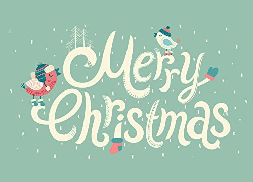 10 Weihnachtskarten Vögel türkis, Weihnachtskarten-Set, Postkarte Weihnachten 10er Set