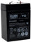 FIAMM Batterie de remplacement Peg Perego Polaris Sportsman 400 Smoby Diamec Sportsman 400 6V 4 5Ah