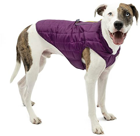 Kurgo North Country wasserdichter Hundemantel, Mit Fleece-Futter, LED-Licht für Nachtsichtbarkeit, Größe L, Grau/Lila