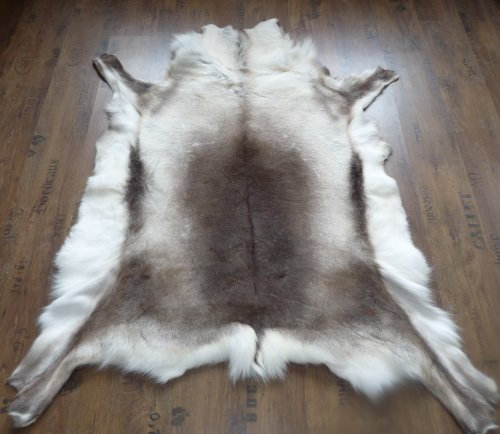 XL RENTIERFELL Rentier Dekofell Original Skandinavien 120-150 x 100-120cm mit Siegel Reines Naturprodukt