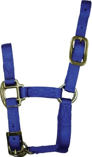Hamilton Quality Horse Halter, 3/4 Triple Ply Nylon, Adjustable Chin Strap, Pony or Mini Donkey, 100-200 lbs, Blue