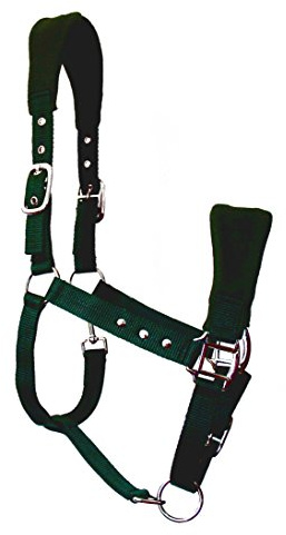 JF-Reitsport Nylon-Halfter weich unterlegt 3-Fach verstellbar