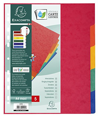 Exacompta 2405E Premium-Register für DIN A4 MAXI aus starkem Colorspankarton 5-teilig volle Höhe 24 x 30 cm vollfarbig 5 Farben mit Indexseite zum selbstgestalten Trennblätter Trennstreifen